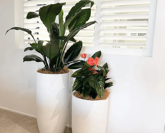 BBGP90002 | Classy Tall Planter White