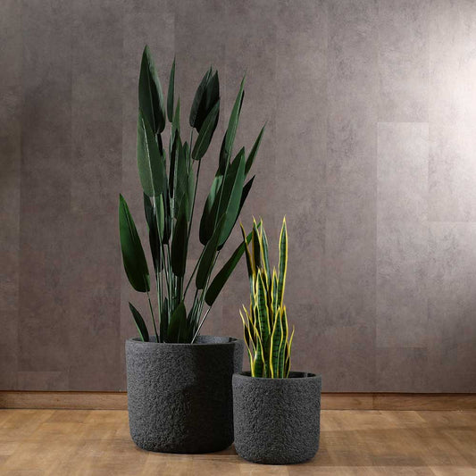 BBGP90013 | Nirvana Planter